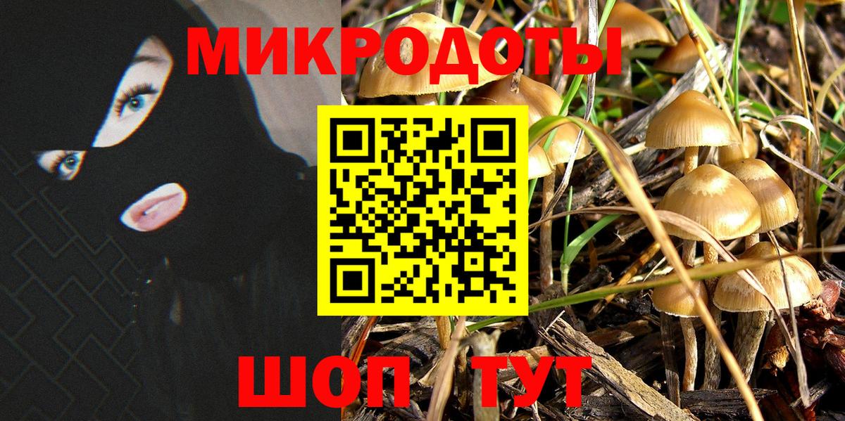 Кемерово  Галлюциногенные грибы MAGIC MUSHROOMS  Вход с VPN 