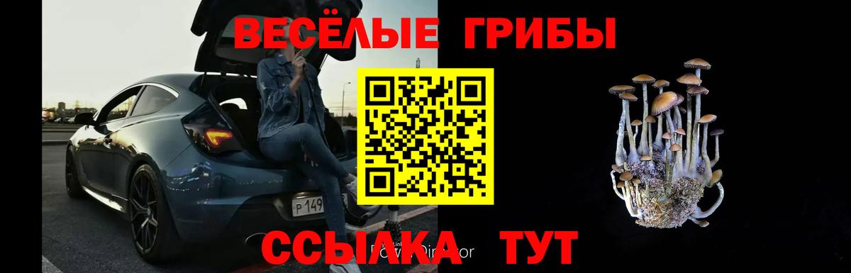 Псилоцибиновые грибы GOLDEN TEACHER Кемерово